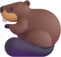 beaver - בונה