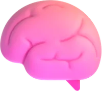 brain - מוח