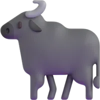 buffalo - תאו