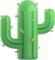 cactus - קקטוס