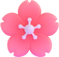 cherry blossom - פריחת דובדבן