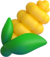 corn - תירס