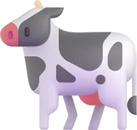 cow - פרה
