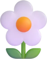 daisy - חיננית