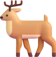 deer - צבי