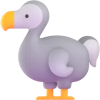 dodo - דודו