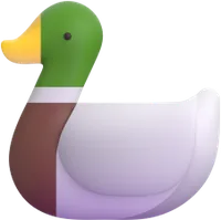duck - ברווז