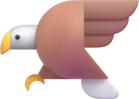 eagle - נשר