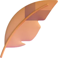 feather - נוצה