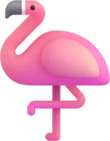 flamingo - פלמינגו