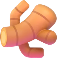 ginger - ג'ינג'ר