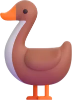 goose - אווז
