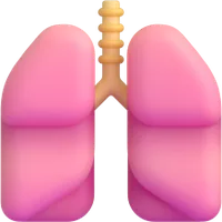 lungs - ריאות