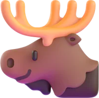 moose - אייל קורא