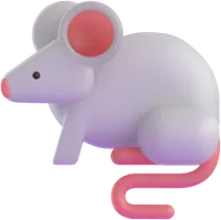 mouse - עכבר