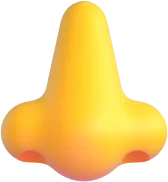 nose - אף