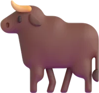 ox - שור