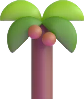 palm tree - עץ דקל
