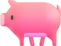 pig - חזיר