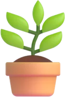 plant - עציץ