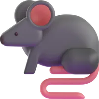 rat - חולדה