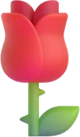 rose - ורד