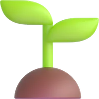 seedling - נבט