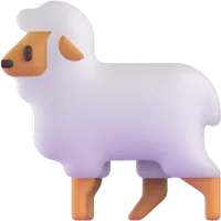 sheep - כבשה