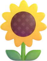 sunflower - חמנייה