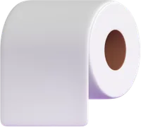 toilet paper - נייר טואלט