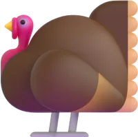 turkey - תרנגול הודו
