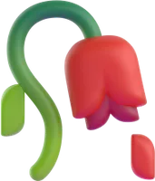 wilted flower - פרח נבול