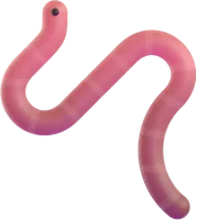 worm - תולעת